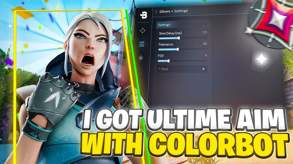 Valorant Colorbot, Features, Performance, and Setup Insights